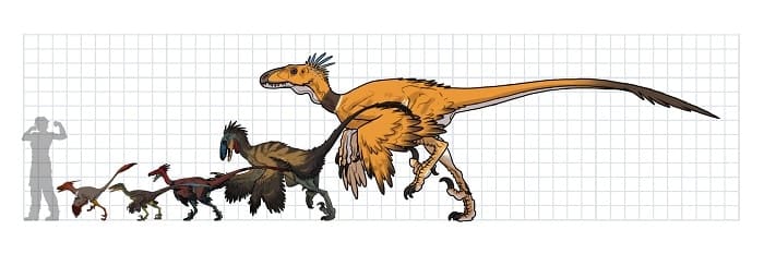 Familia de dromeosáuridos