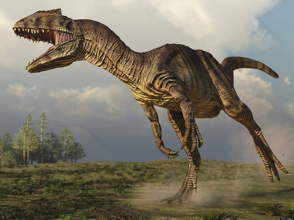 Resultado de imagen de alosaurio