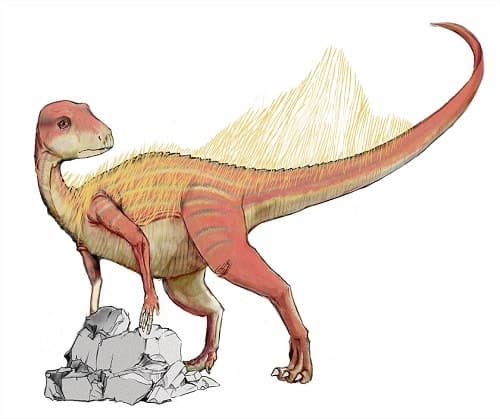 abrictosaurus.jpg