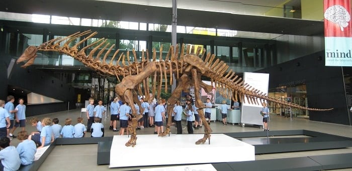 Exposición de Amargasaurus en el Museo de Melbourne