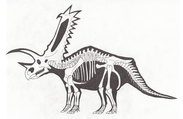Descripción del Pentaceratops