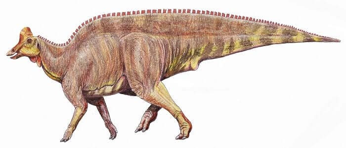 Historia del Lambeosaurus