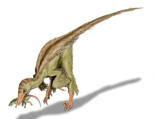 Troodon.jpg