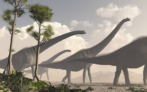 Sauroposeidon, El Dinosaurio Más Alto De Todos Los Tiempos – Dinosaurios