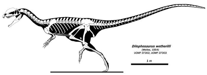 Descripción sobre el Dilophosaurus
