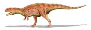 Información sobre Majungasaurus