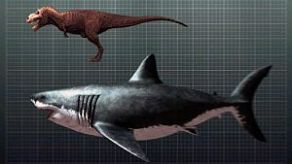 Comparativa-de-un-megalodón-y-un-T-Rex