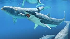 Megalodón atacando una ballena